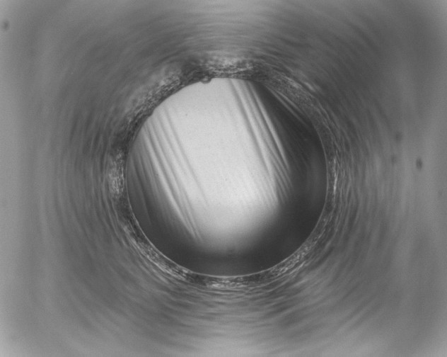 X0000054440515200508191614