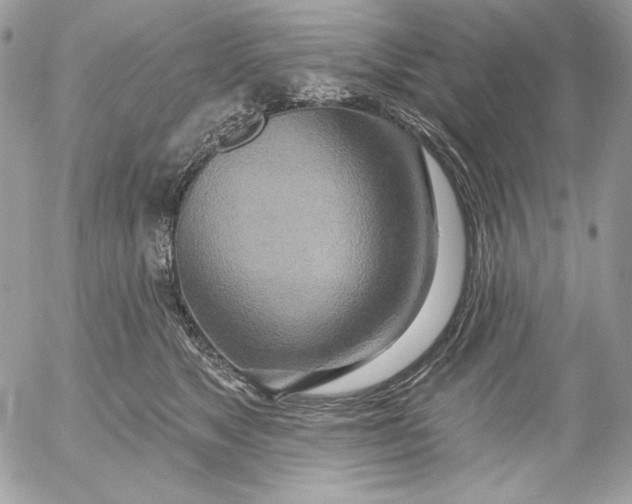 X0000054440517200508191614