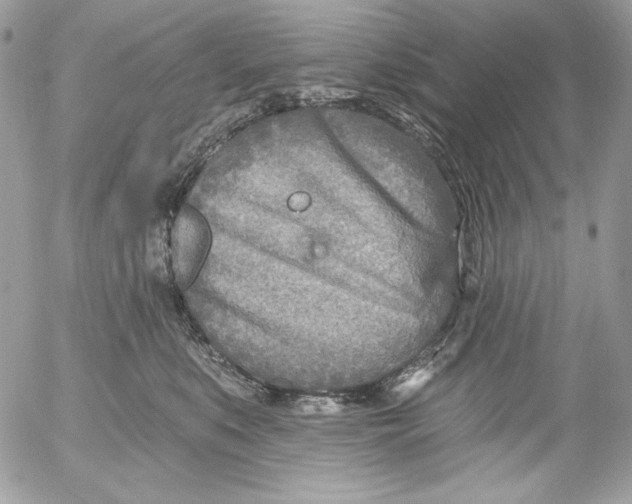 X0000054440519200508191614