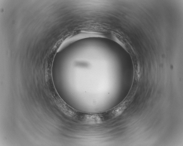 X0000054440520200508191614