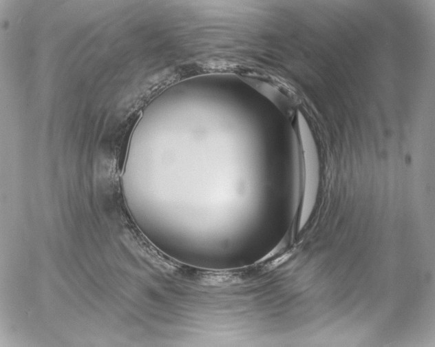 X0000054440521200508191614