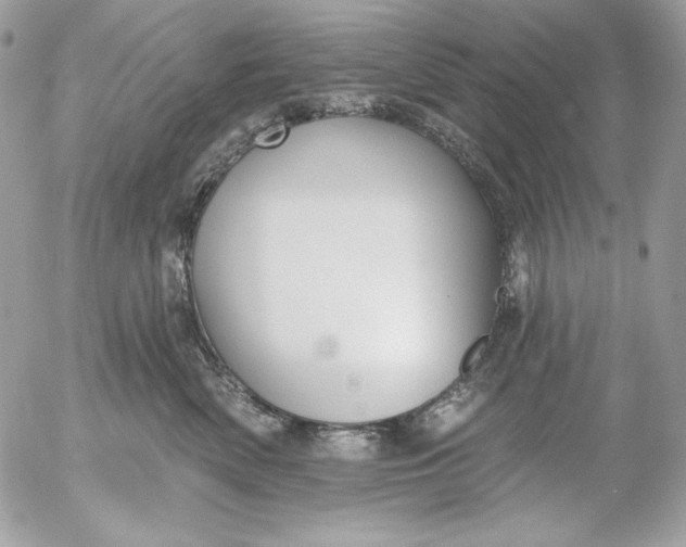 X0000054440522200508191614