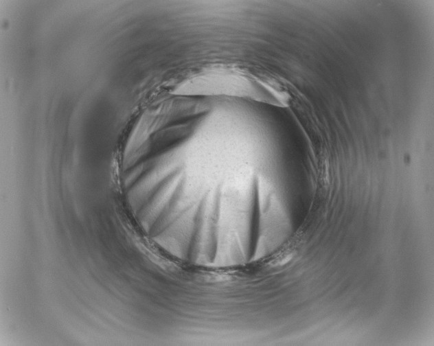 X0000054440523200508191614