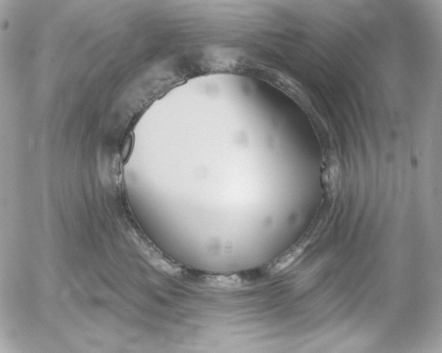 X0000054440525200508191614