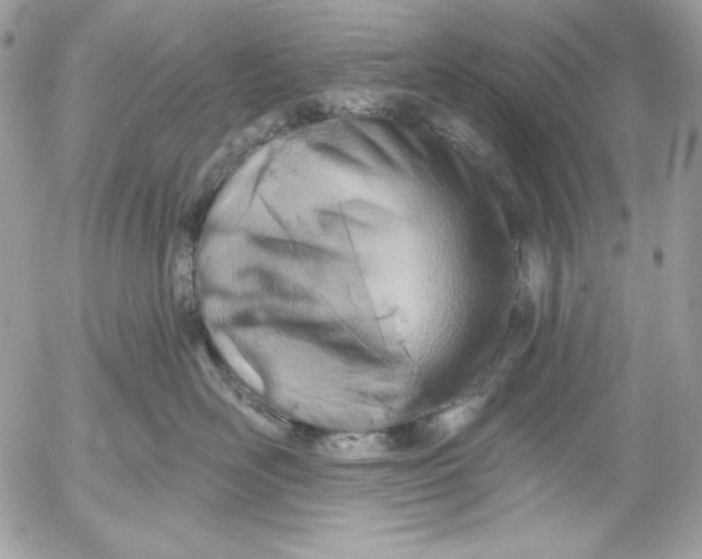 X0000054440526200508191614