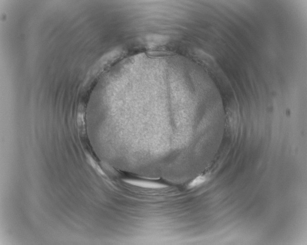 X0000054440527200508191614