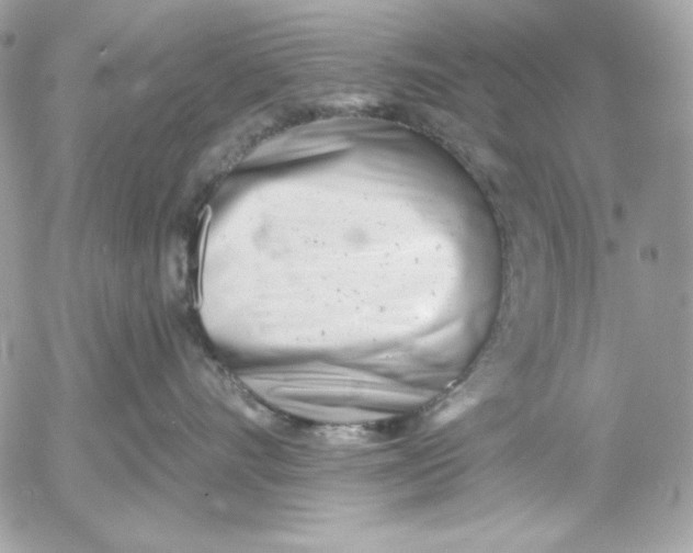 X0000054440528200508191614