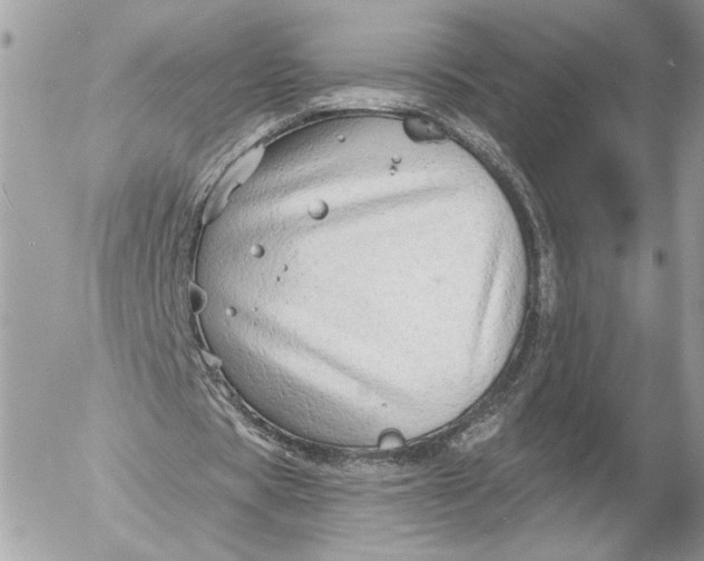 X0000054440529200508191613