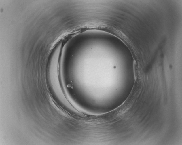 X0000054440530200508191613