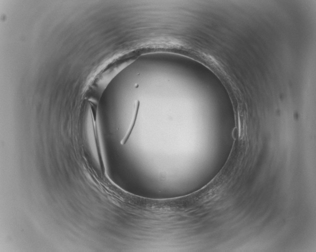 X0000054440531200508191613