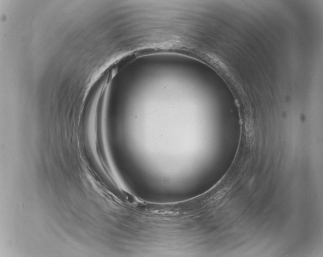 X0000054440532200508191613