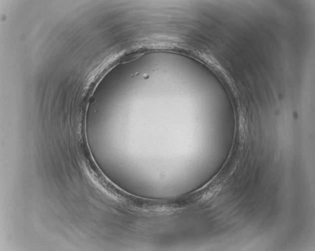 X0000054440533200508191613