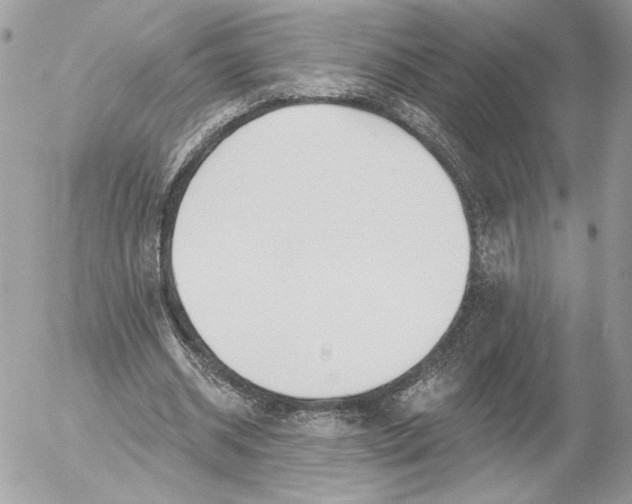 X0000054440534200508191614