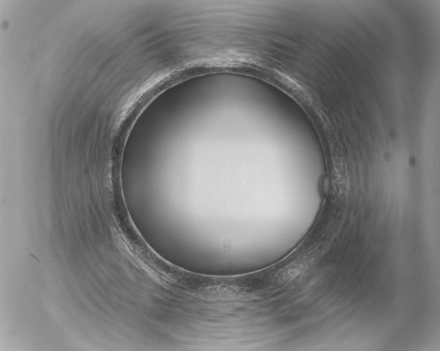 X0000054440535200508191614