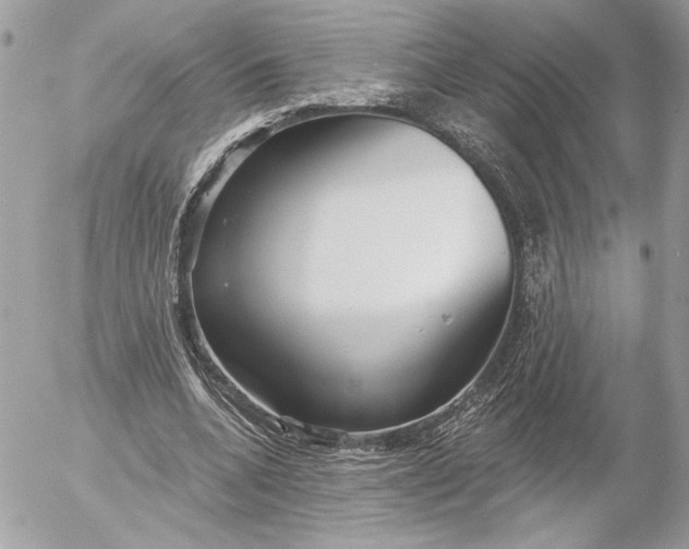 X0000054440536200508191614