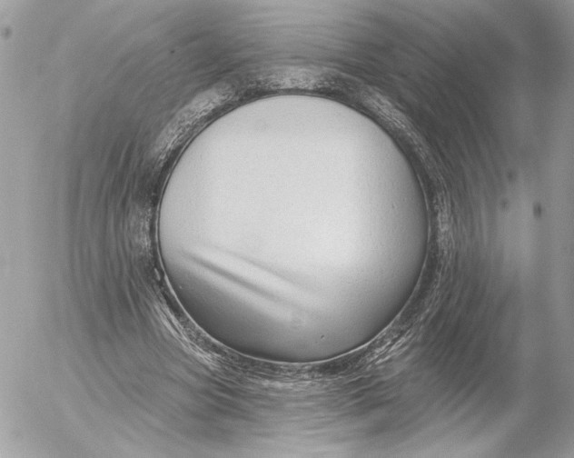 X0000054440537200508191614