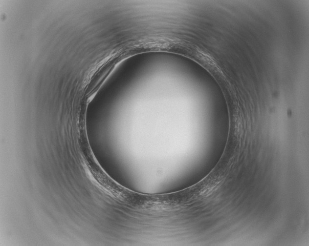 X0000054440538200508191614