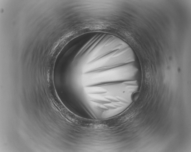 X0000054440539200508191614