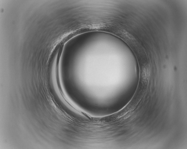 X0000054440540200508191614