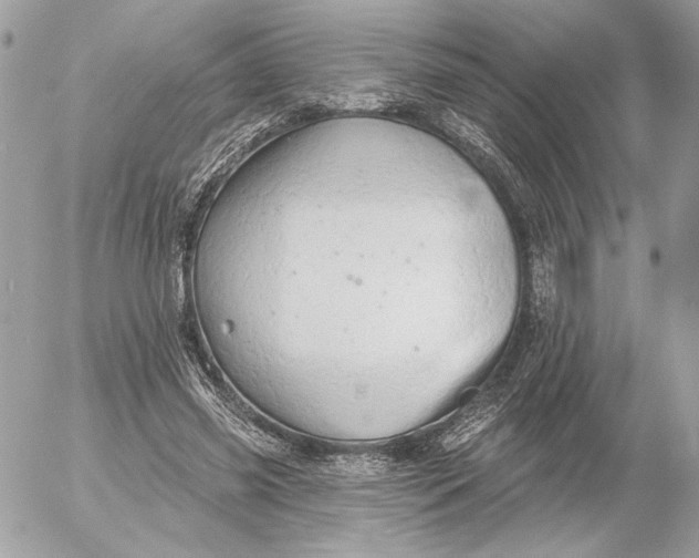 X0000054440541200508191614