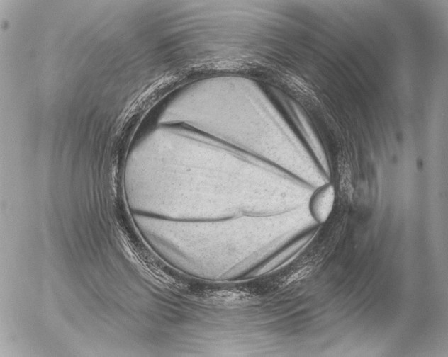 X0000054440542200508191614