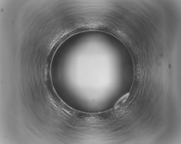 X0000054440544200508191614