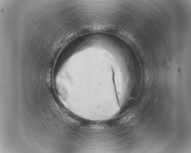 X0000054440545200508191614