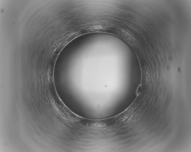 X0000054440546200508191614