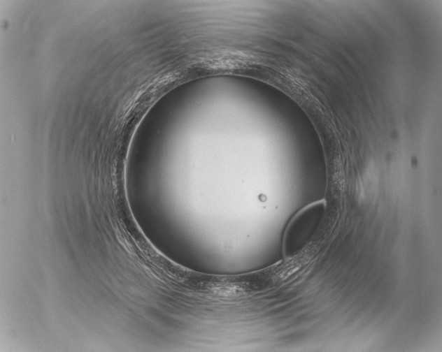 X0000054440547200508191614