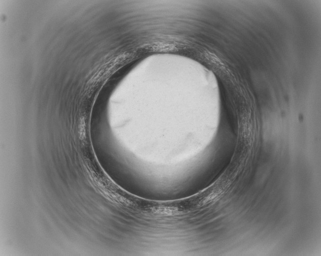 X0000054440549200508191614