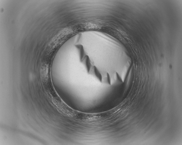 X0000054440550200508191614