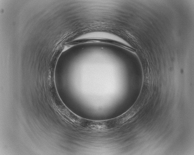 X0000054440552200508191614