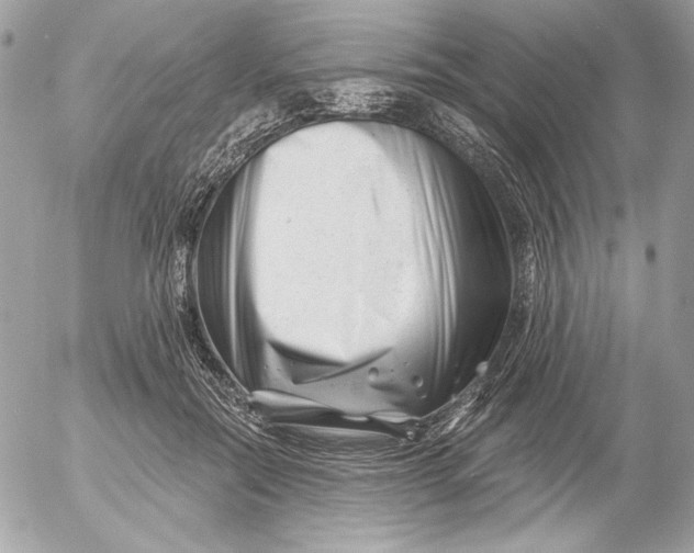 X0000054440554200508191614