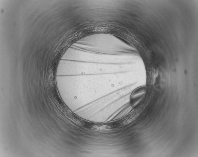 X0000054440557200508191614