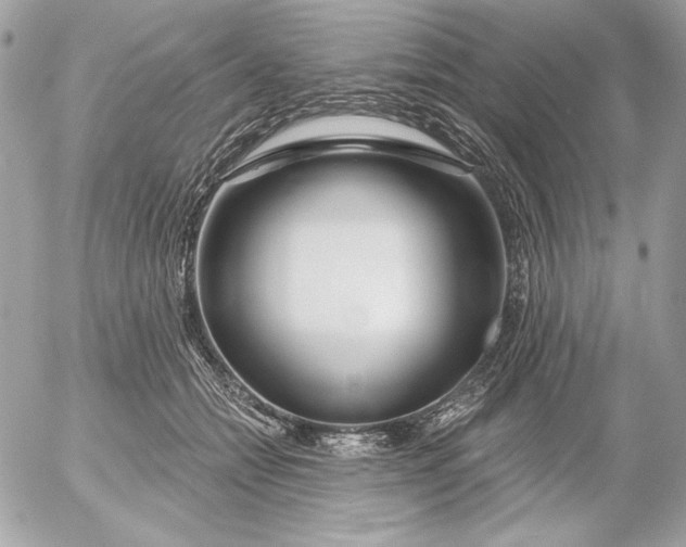 X0000054440558200508191614