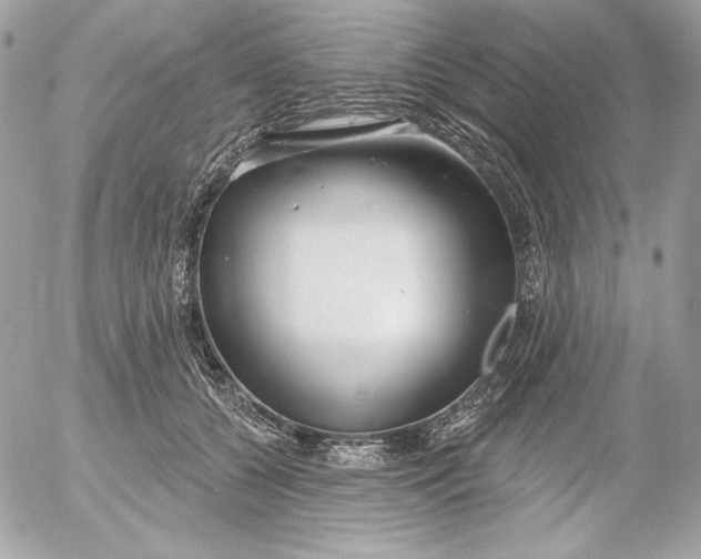 X0000054440560200508191614