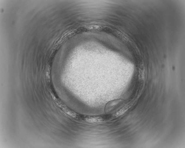 X0000054440561200508191614