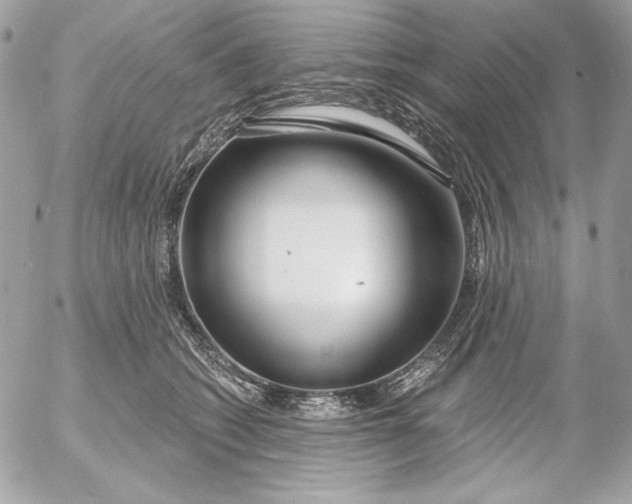 X0000054440562200508191614