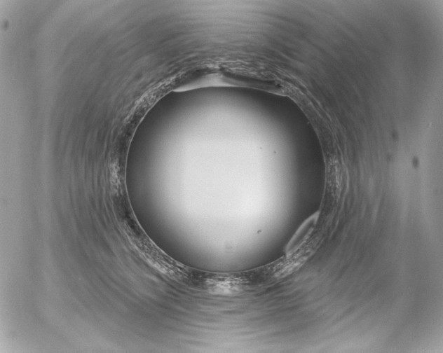 X0000054440564200508191614