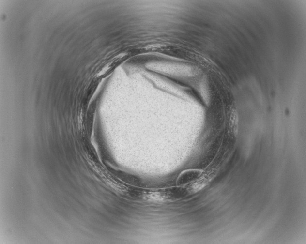 X0000054440565200508191614