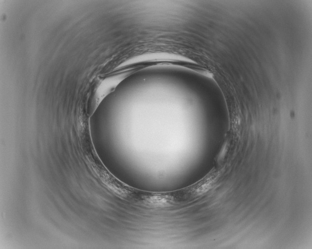 X0000054440566200508191614