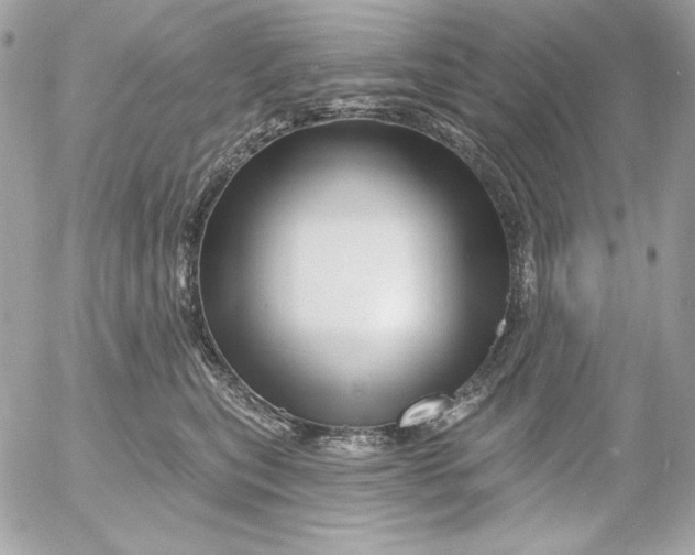 X0000054440567200508191614