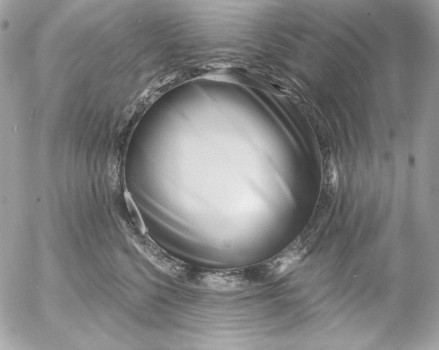 X0000054440568200508191614