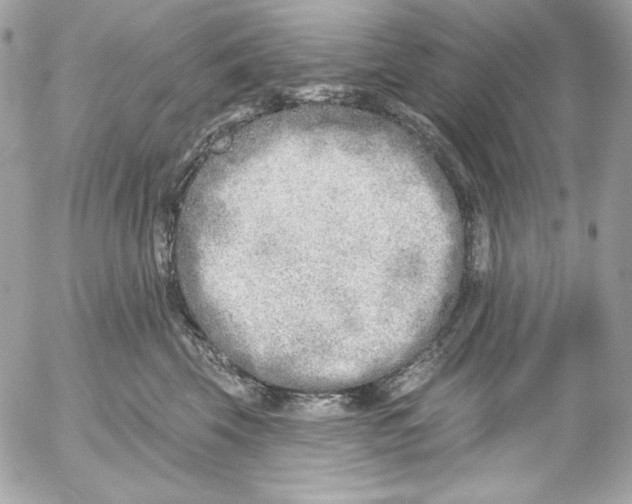 X0000054440569200508191614