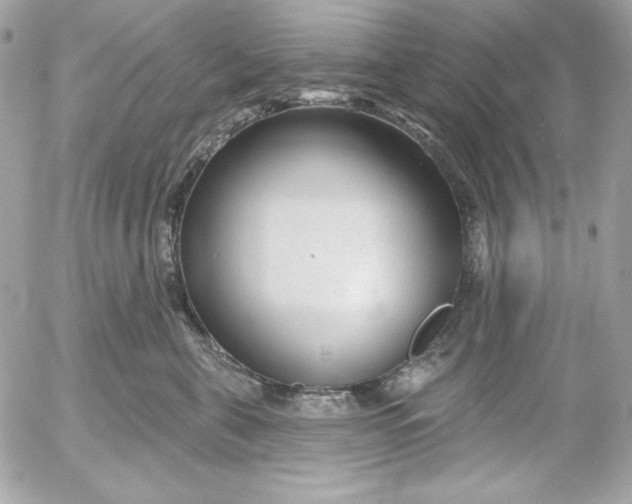 X0000054440571200508191614