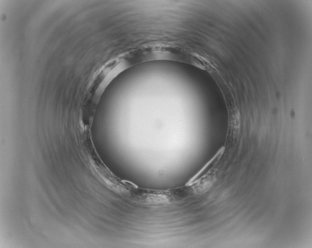 X0000054440572200508191614