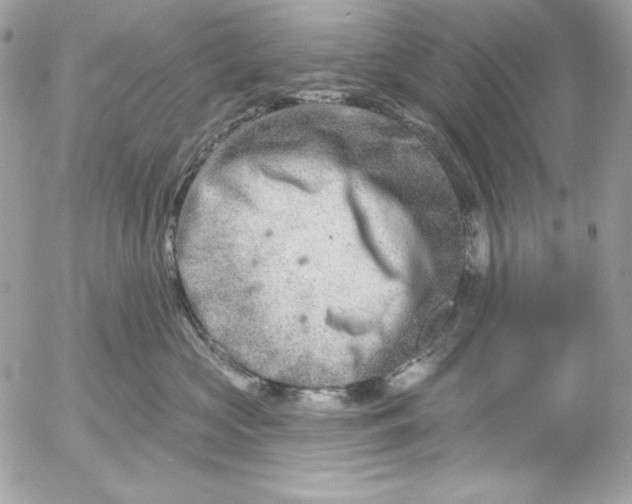 X0000054440573200508191614