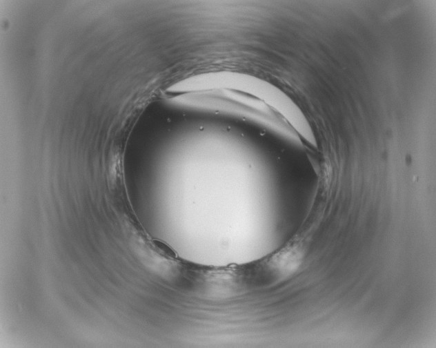 X0000054440574200508191614