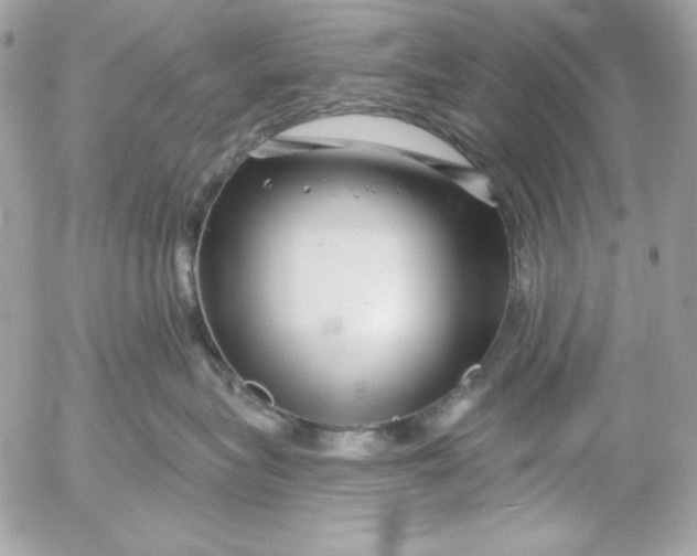 X0000054440575200508191614