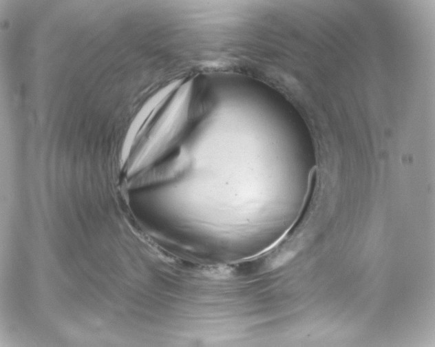 X0000054440576200508191614